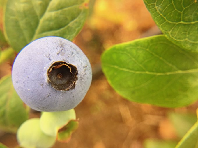 开心动漫官网版入口-自然风光视频