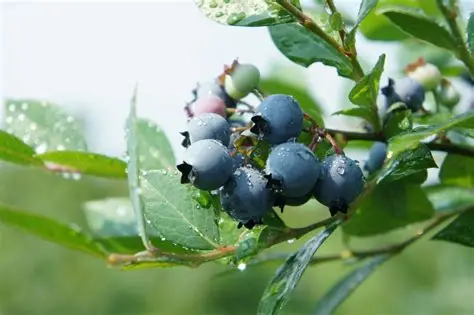 开心动漫官网版入口-文化故事